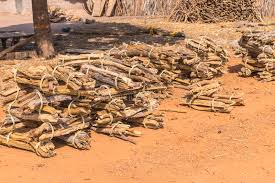 Saunders landscape supply offers free delivery in northern virginia and maryland. Firewood Bundles Photos Free Royalty Free Stock Photos From Dreamstime