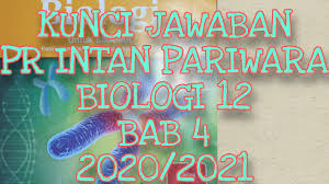 Demikian ulasan tentang soal pkk kelas 12 +kunci jawaban 2020 semoga bermanfaat, pantau terus artikel terbaru. Kunci Jawaban Pr Intan Pariwara Biologi 12 Bab 4 Pembelahan Sel Youtube