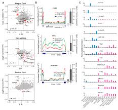 For instance, surgery commonly used for curative intent may be avoided in the advanced. Cancers Free Full Text Widespread Aberrant Alternative Splicing Despite Molecular Remission In Chronic Myeloid Leukaemia Patients