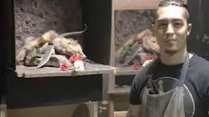 Estimated between 1766 and 1826. Jose Lopez Vergara La Zorra Youtube