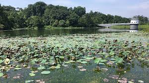 In the past arshad bin raja tun uda was chairman for malaysian accounting standards board, member of securities commission of malaysia, executive chairman & senior partner at pricewaterhousecoopers (malaysia), chairman at ekuiti nasional bhd. Perpustakaan Raja Tun Uda Library Visit Selangor
