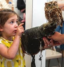 Dawn Burwell's Instagram, Twitter & Facebook