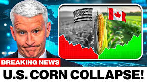 How Modern Container Ports Work: Automation, Efficiency, and Global Trade