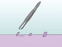 Marshall brain electric razors share a remarkable similarity to. How To Shave Your Pubic Hair 13 Steps With Pictures Wikihow