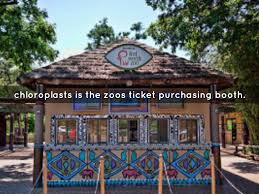 Vaccines work by mimicking an infectious agent, and by doing so, train our bodies to respond more rapidly and effectively against them. A Cell Is Like A Zoo By Houzeaur