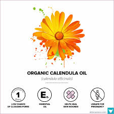 20 Best Non Comedogenic Rated Organic Skin Care Oils For All