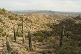 Where is the mcdowell sonoran preserve in scottsdale az? Hiking Trails Near Mcdowell Sonoran Preserve Southern Region