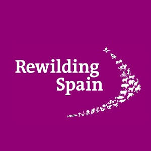 Fundación Española de Renaturalización-Rewilding Spain | Madrid