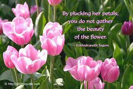 Leave Them Untouched Tulips Quotes Rabindranath Tagore Quotes