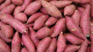Sweet potato as a complementary food has been identified as a viable product both for supplementing the nutritional needs of the babies in developing countries while enhancing the utilisation of the crop. Covid 19 Disrupts Nigeria S Sweet Potato Success Story By John Agboola Enabling Sustainability Medium