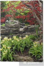 Maybe you would like to learn more about one of these? Zen Garden With Natural Stone And Japanese Maple Canvas Print Pixers We Live To Change