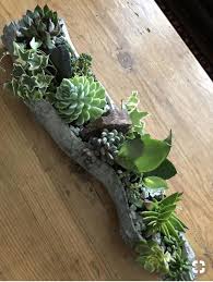Pin By Milena Kobrnova On Sconces Garden Succulent Landscaping Succulents Succulents Indoor