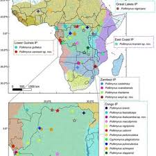 Image result for Hartliella