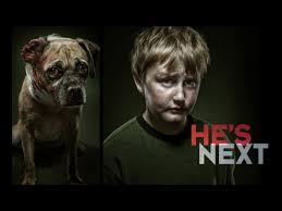 More than 60% involve dogs, 18% involve cats, and 25% involve other animals. The Connection Between Animal Abuse And Domestic Violence Recent News Drydenwire Com