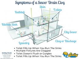 drain cleaning services (973) 764