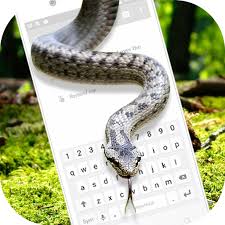 Shock your friends with a sudden serpent surprise! Snake On Screen Scary Prank Hissing Joke Apk 1 2 Download For Android Download Snake On Screen Scary Prank Hissing Joke Apk Latest Version Apkfab Com