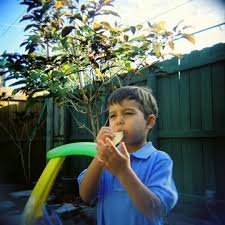 Can You Kazoo 3 Easy Songs Anyone Can Learn Fun Activities For Kids Kids Songs Fun Learning