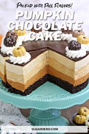 Pumpkin Chocolate Mousse Cake In 2020 Chocolate Mousse Cake Recipe Chocolate Mousse Cake Pumpkin Chocolate