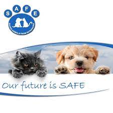 The refuge has been incorporated since 1974 and is run by a wonderful group of volunteers which includes a volunteer management committee. Safe Bunbury Pet Rescue Pet Adoption Bunbury Wa