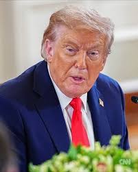 🚨 THIS IS OUR PRESIDENT — MEETING WITH ZELENSKY AND EUROPEAN LEADERS TODAY  🚨 Yes, this is real. This photo was taken during Donald Trump's meeting  today with Ukrainian President Volodymyr Zelensky