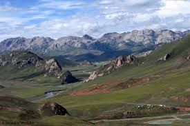 Check 'tibetan plateau' translations into russian. Wolf Field Research On The Qinghai Tibetan Plateau Of China 2017 Himalayan Wolves Project