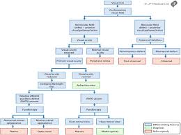Image result for Acute Vision Loss