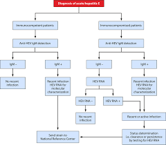 Flow Diagram For Diagnosis Of Acute Hepatitis E Virus