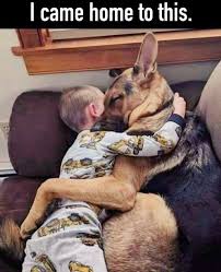  The German Shepherd Dogs And Kids Cute Animals Shepherd Puppies