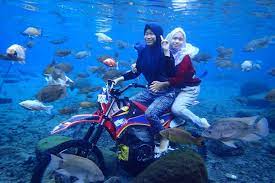 Check spelling or type a new query. Aturan Wisata Ke Umbul Ponggok Saat Lebaran Bawa Surat Bebas Covid 19 Halaman All Kompas Com