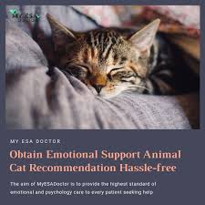 Simple & easy to do · free registration · free shipping Get Emotional Support Cat Registration Letter Now Esa Cat Certification Emotional Support Animal Animals Cats