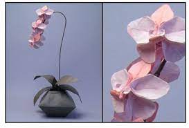 Orchids From Origami Origami Orchid Origami Origami Flowers
