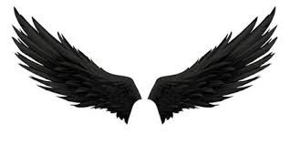 Angel Wings Images Black And White Angel Wings Tatuirovki S Krylom Krylya Vorone Iskusstvo