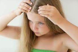 how to treat get rid of head lice in