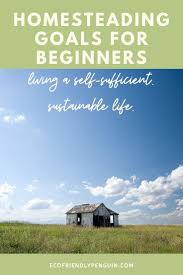 Homesteading Farm Goals For Beginners In 2020 Homestead Farm Homesteading What Is Homestead