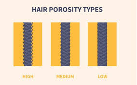 Thinning hair, molting hair, or pattern baldness can look unsightly and severely affect your confidence. What Is Hair Porosity And Why Does It Matter