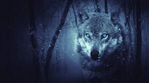 We did not find results for: Wallpaper 4k Fantasy Wolf 4k 5k Wallpapers Artist Wallpapers Digital Art Wallpapers Fantasy Wallpapers Hd Wallpapers Wolf Wallpapers