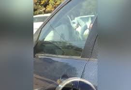 For years, ace magashule was one of south africa's most powerful politicians, a populist firebrand whose name was synonymous with the ruling african national congress. Watch Unisa Clamps Down After Would Be Car Thief Caught On Camera News24