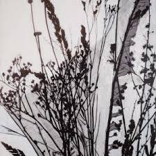 Browse a wide range of botanical art prints prints, posters & buy online at great prices. Botanicals Buy Botanical Prints And Paintings Affordable Art