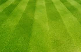 All price guides include labour, materials & vat. Lawn Care In Perth Dundee Fife Pitchperfectlawns Co Uk