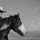 Coffee Morning Horsemanship Demonstration PT2 9th event image