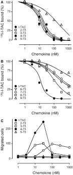 I'm just very pale and my skin never sees the sun so they stand out like a. Structure Function Relationship Between The Human Chemokine Receptor Cxcr3 And Its Ligands Journal Of Biological Chemistry