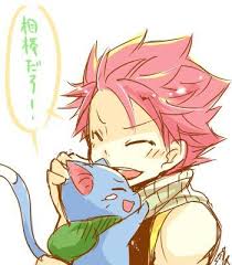 natsu et happy フェアリー フェアリーテイル ハッピー 妖精