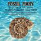 Fossil Mary event image