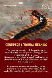 What does it mean when you see a centipede spiritually