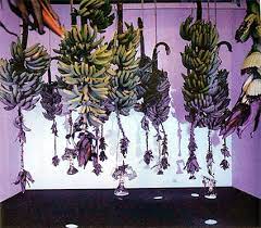 Amongst his works one finds transhistorias. Instalaciones Video Arte Perforarte Blog