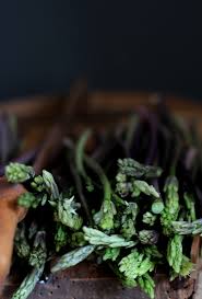 We did not find results for: Hummus Di Germogli Di Pungitopo Timo E Lenticchie