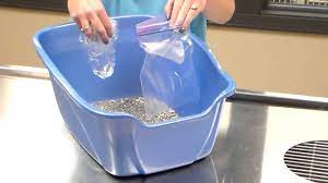 The simplest way is to collect a urine sample from your cat using a non absorbent cat litter. How To Collect A Urine Sample From Your Cat Hespeler Animal Hospital