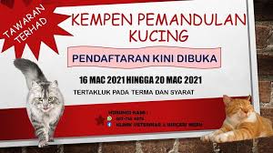 Harga kucing yang telah divaksin lebih mahal biasanya di pasaran kucing yang telah divaksin dengan kucing yang belum divaksin harganya berbeda. Klinik Veterinar Surgeri Meru Posts Facebook
