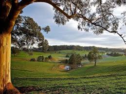 Leongatha Destinations Gippsland Victoria Australia Landscape Scenery Australia