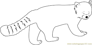 Red pandas, like giant pandas, are bamboo eaters native to asia's high forests. Angry Red Panda Coloring Page For Kids Free Red Panda Printable Coloring Pages Online For Kids Coloringpages101 Com Coloring Pages For Kids